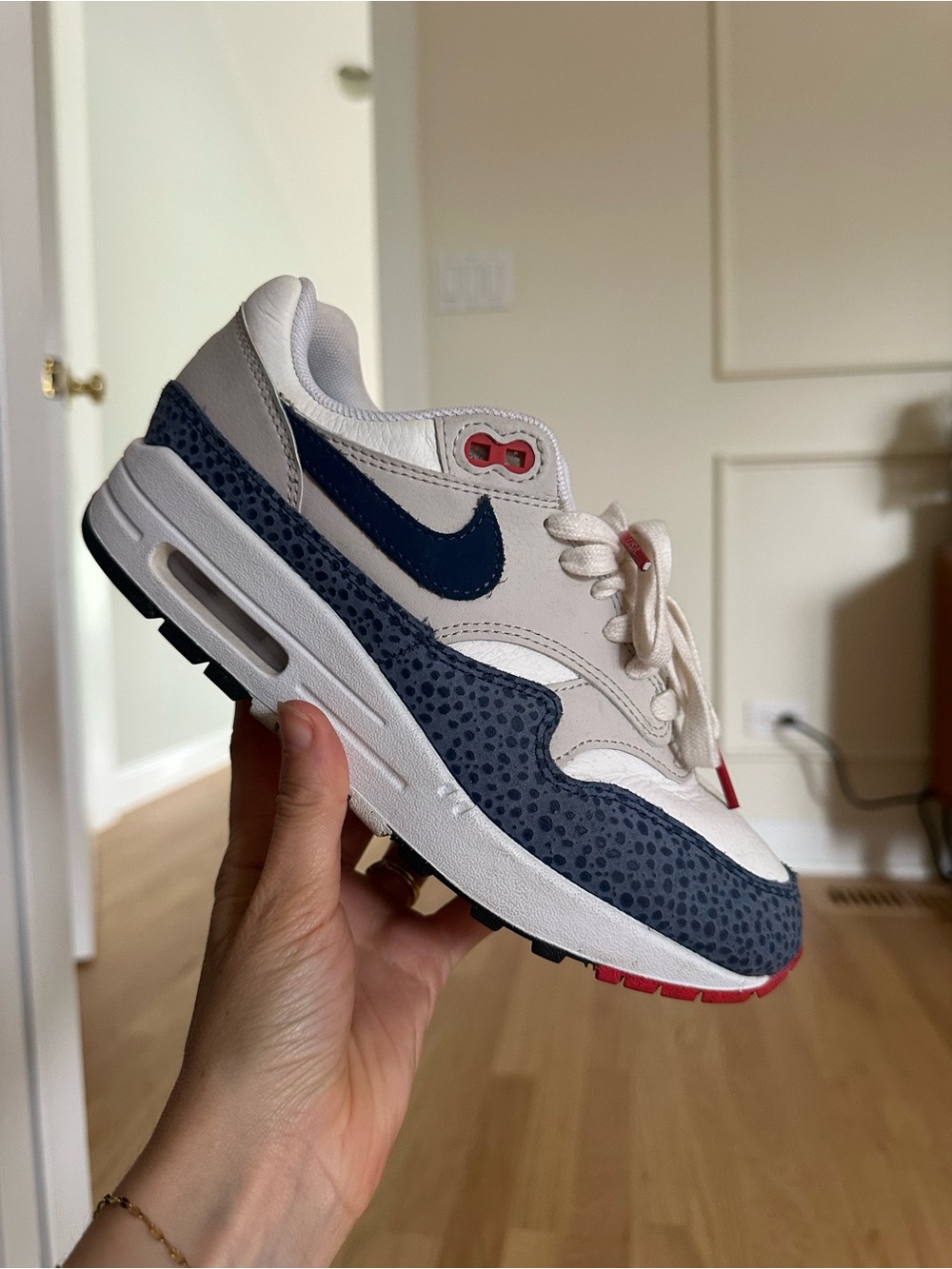 Nike Team USA Air Max 1